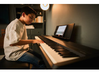 <b>Roland FP-40 BK PRETO + MÓVEL Roland KSF-40 BK + BARRA PEDAIS Roland KPD-70 BK</b> <b>Roland FP-40 BK PRETO + MÓVEL Roland KSF-40 BK + BARRA PEDAIS Roland KPD-70 BK</b>